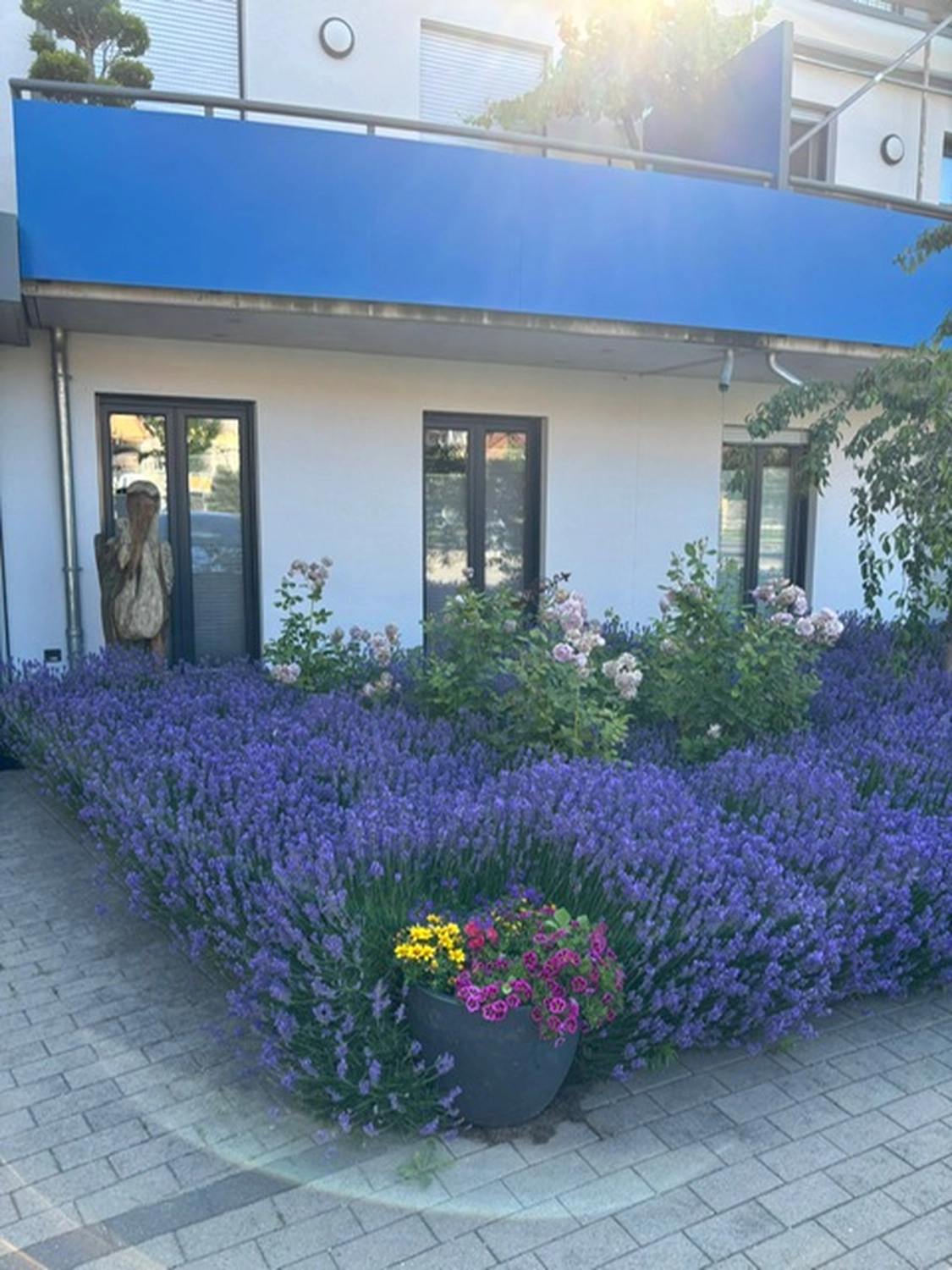 Frauenarztpraxis Dr. A. Dietrich - Gesundheitsdienste für Frauen - Vorderansicht einer Klinik und eine lila Blume an der Seite