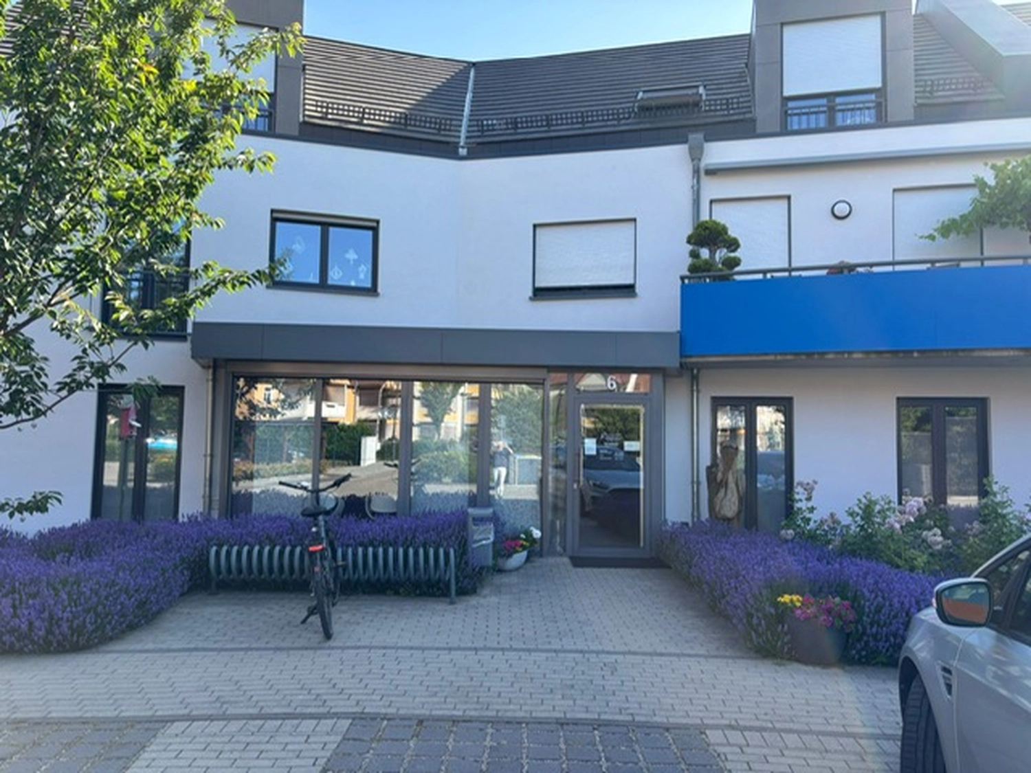 Frauenarztpraxis Dr. A. Dietrich - Gesundheitsdienste für Frauen - Vorderansicht einer Klinik und eine lila Blume an der Seite